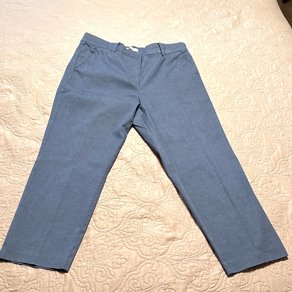 The Loft Riveria Slim pants in size 12 curvy